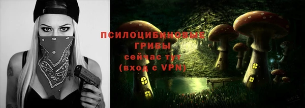 не бодяженный Бронницы