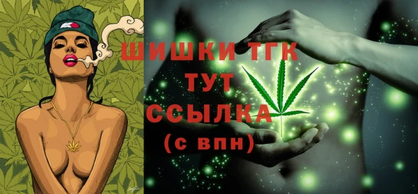 соль ск Бородино