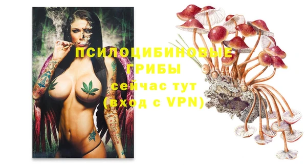 соль ск Бородино