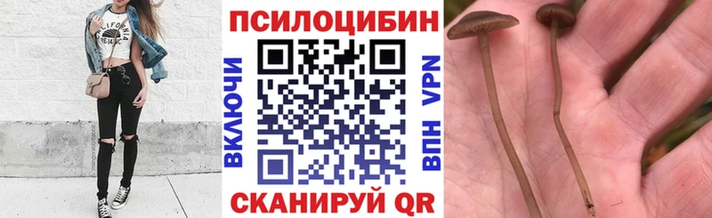 Псилоцибиновые грибы Magic Shrooms  продажа наркотиков  Гороховец 